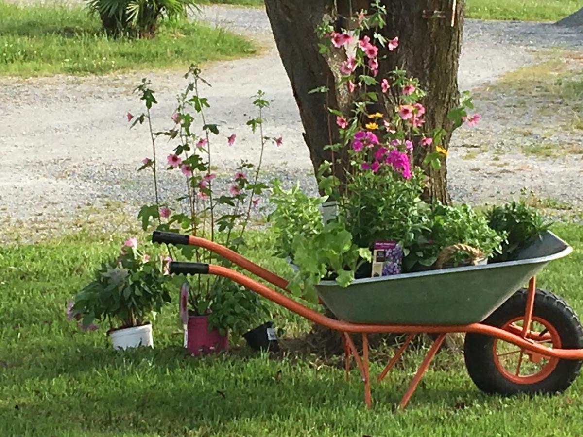 La Gelette Bed & Breakfast Genissac Bagian luar foto