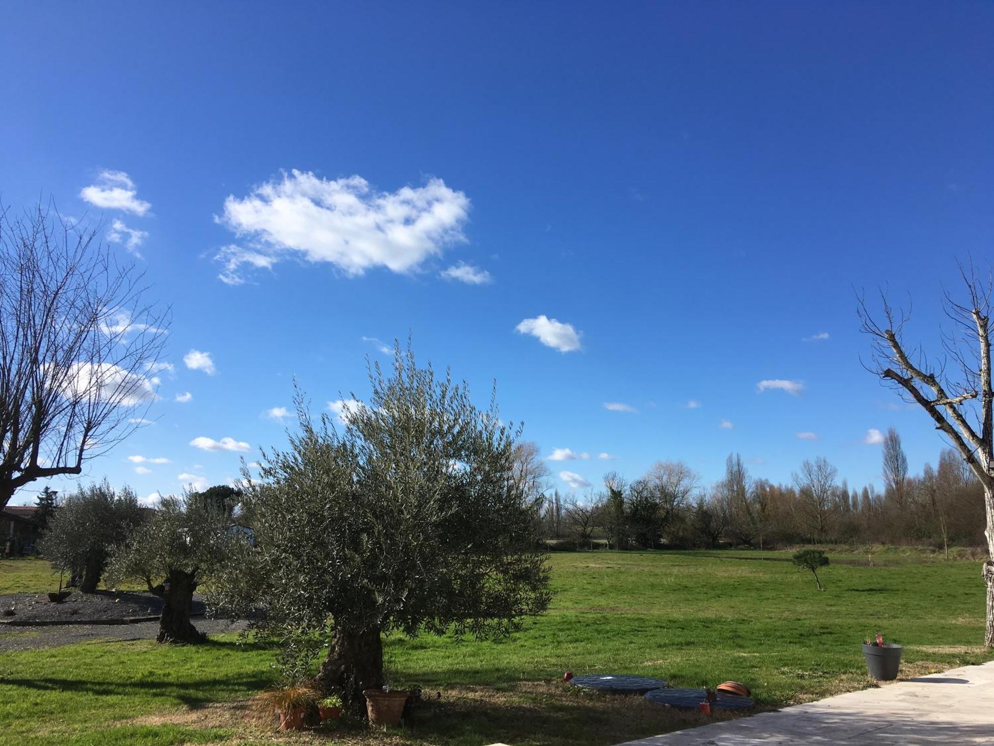 La Gelette Bed & Breakfast Genissac Bagian luar foto